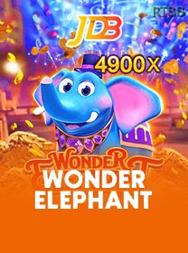 Wonder Elephant